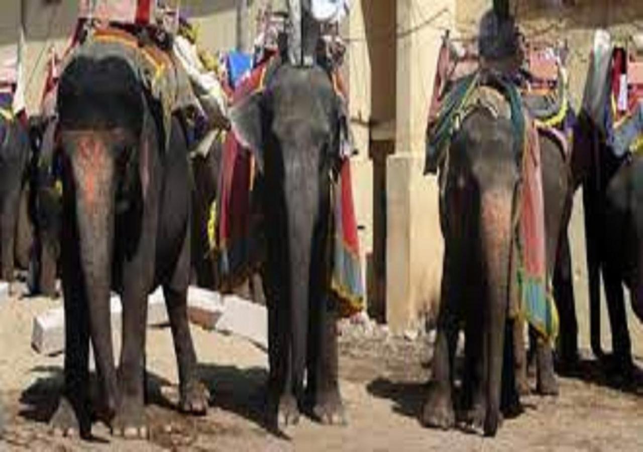 Mother Homestay جايبور المظهر الخارجي الصورة